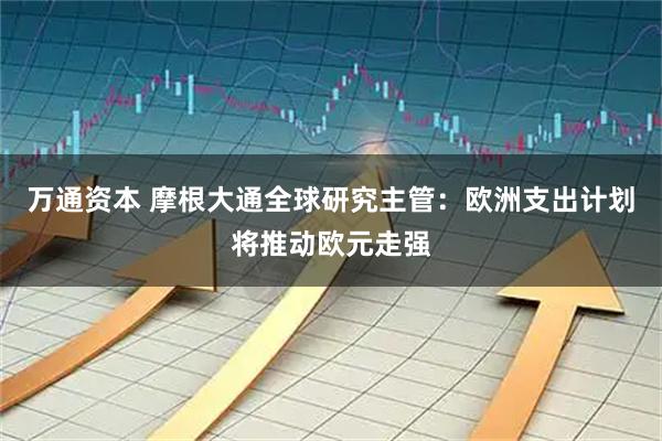 万通资本 摩根大通全球研究主管：欧洲支出计划将推动欧元走强