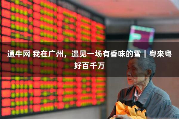 通牛网 我在广州，遇见一场有香味的雪｜粤来粤好百千万