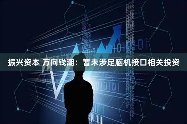 振兴资本 万向钱潮：暂未涉足脑机接口相关投资