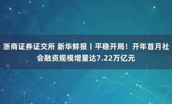 浙商证券证交所 新华鲜报丨平稳开局！开年首月社会融资规模增量达7.22万亿元