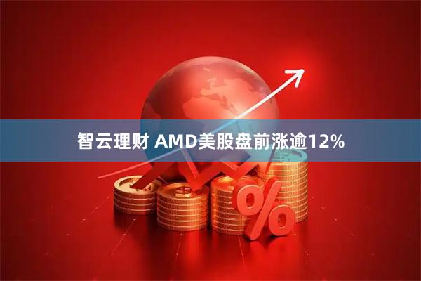 智云理财 AMD美股盘前涨逾12%